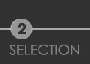 Selection