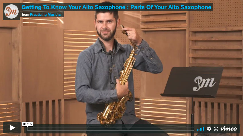 Practicing Musician Virtual Sax Lesson