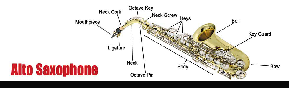 Saxophone Instrument Care Instruction