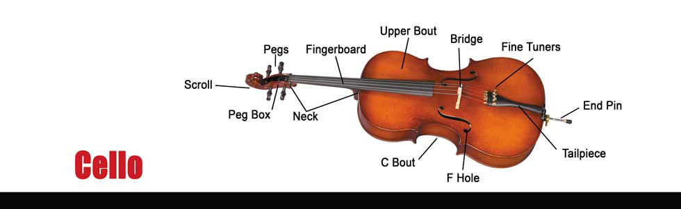 Instructions for cello care