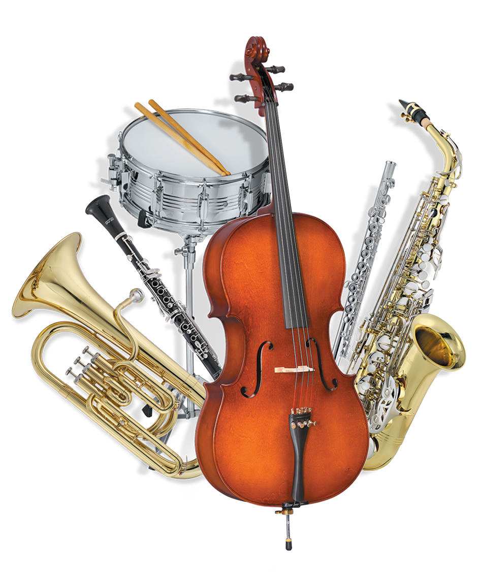 variety of instruments member sign in 