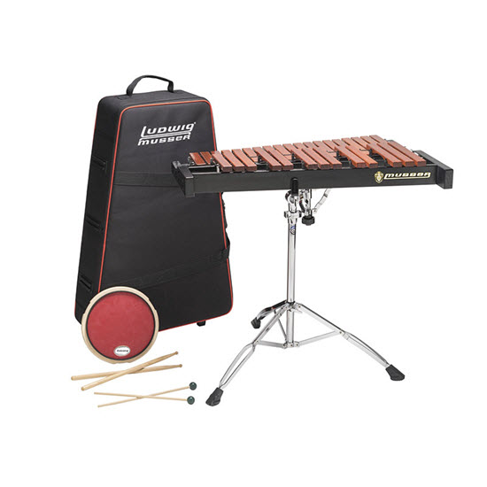 2022-Aug-26-075250-819instrumentXylophoneMic.jpg