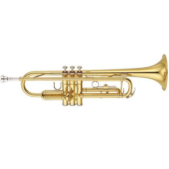 2022-Jul-29-030951-248instrumentTrumpetMicro.jpg