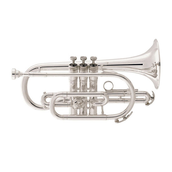 2022-Jul-29-031247-920instrumentCornetMicros.jpg