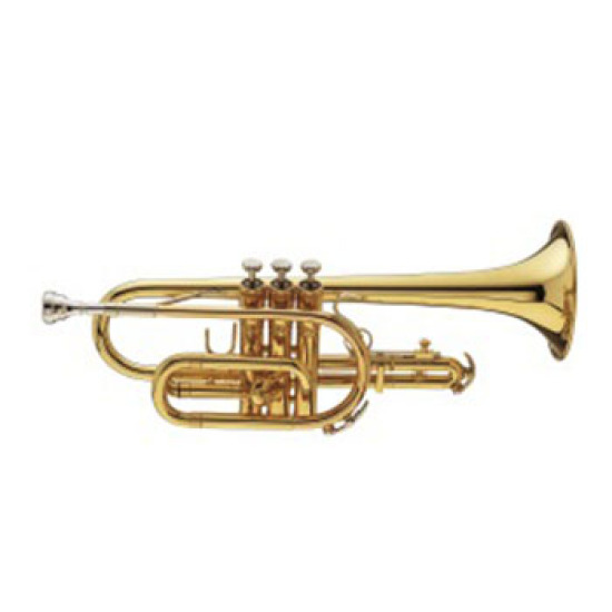 2022-Jul-29-031259-891instrumentCornetMicros.jpg