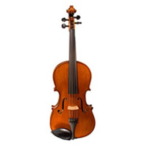 2022-Jul-29-031833-865instrumentViolaMicrosi.jpg