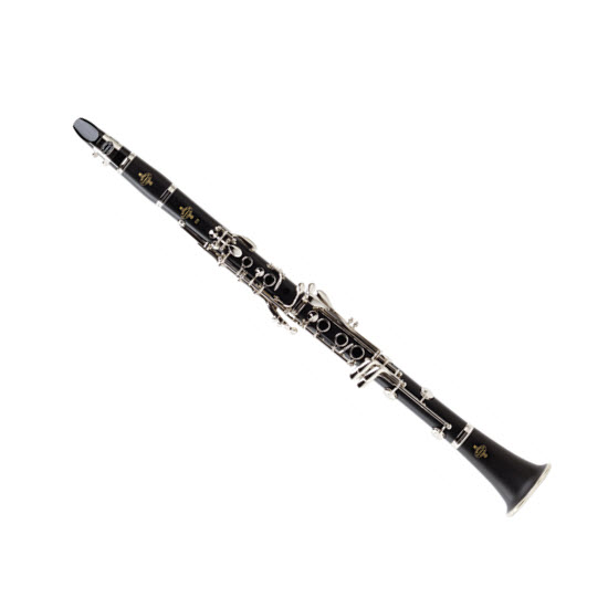 2022-Jul-29-032611-789instrumentClarinetMicr.jpg