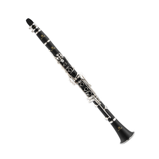 2022-Jul-29-032704-822instrumentClarinetMicr.jpg