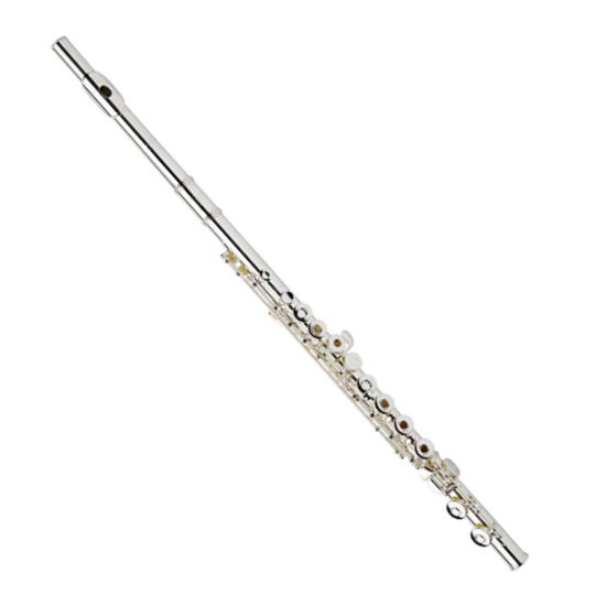 2022-Jul-29-032720-099instrumentFlute1Micros.jpg