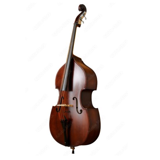 2022-Jul-29-074901-587instrumentStringBassMi.jpg