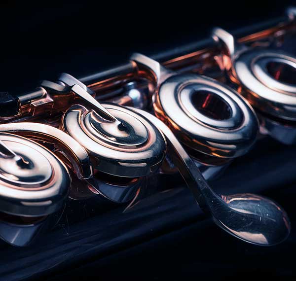 Violin