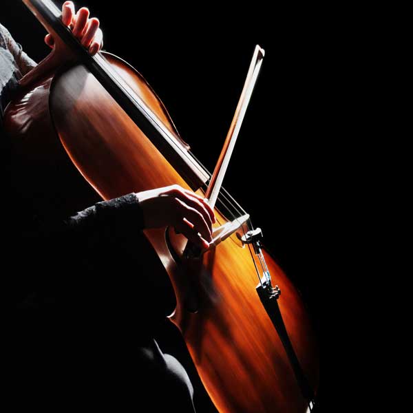  Cello1Carousel1500.jpg