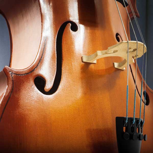  Cello2Carousel1500.jpg