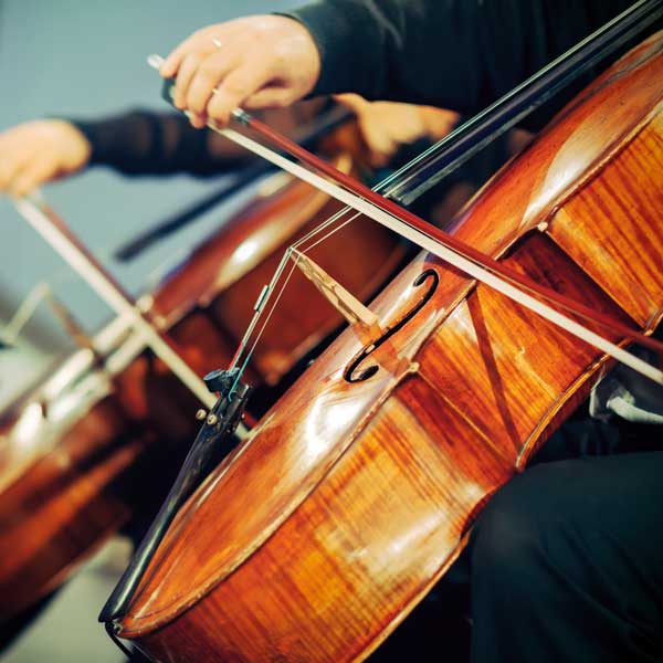  Cello5Carousel1500.jpg