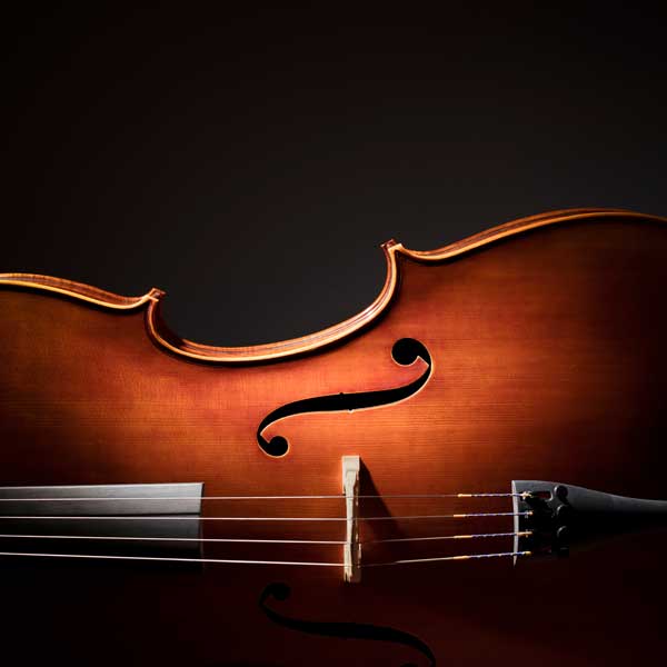  Cello6Carousel1500.jpg