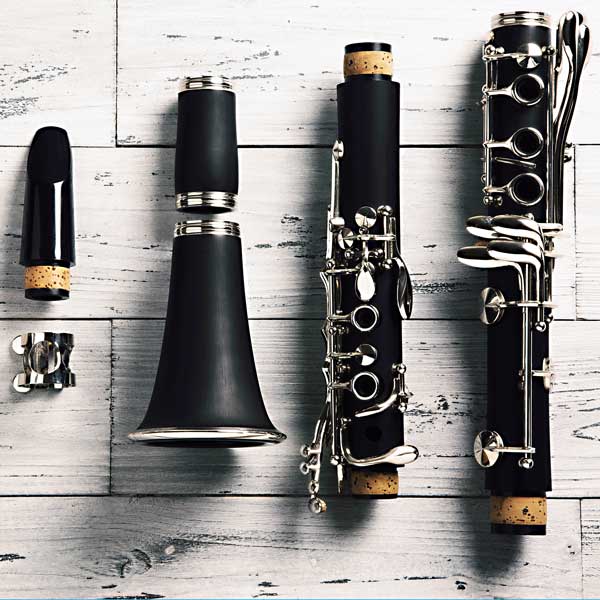 Clarinet Rental Close Up