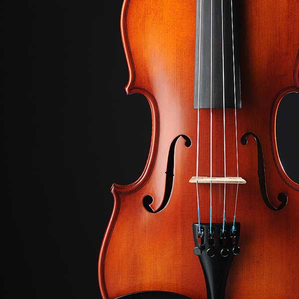  Viola1Carousel1500.jpg