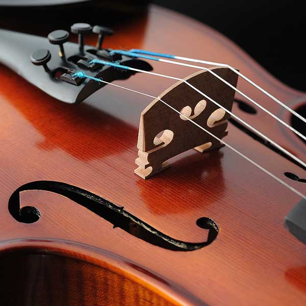  Viola2Carousel1500.jpg