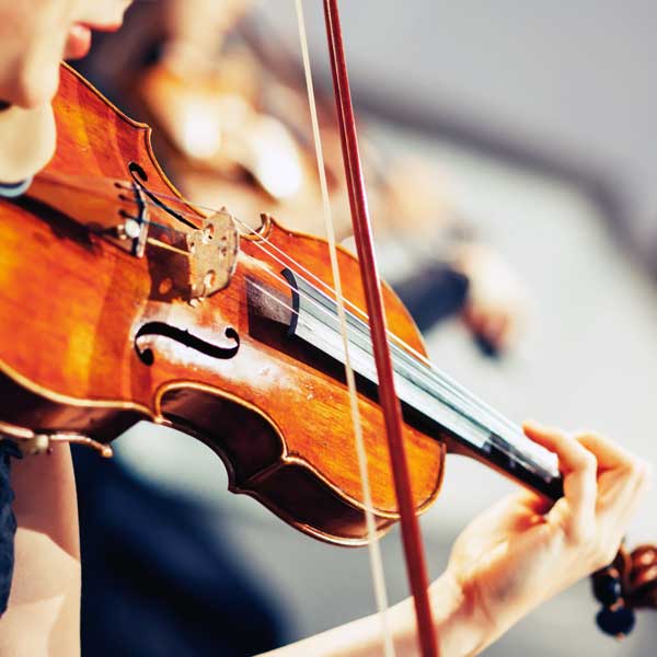  Viola5Carousel1500.jpg