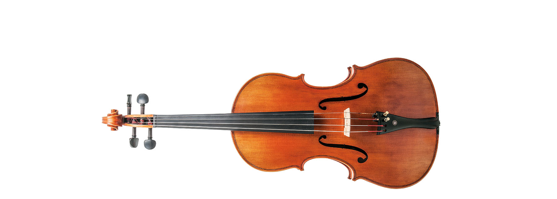 viola
