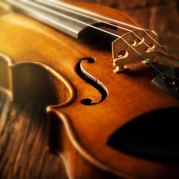 Violin Rental Close Up