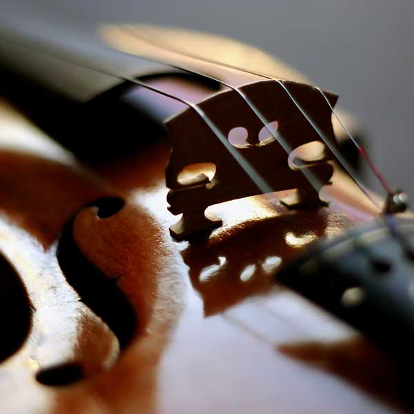Rental Violin Close Up
