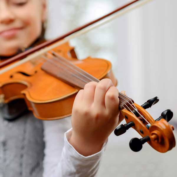 Violin Rental Close Up