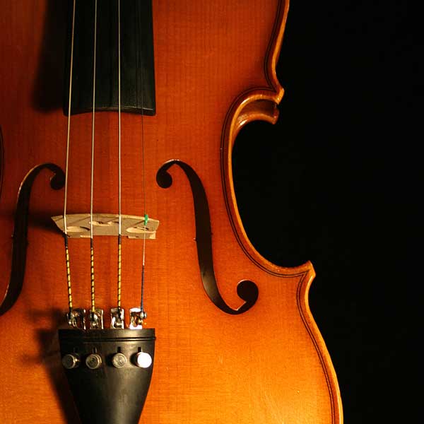 Rental Violin Close Up